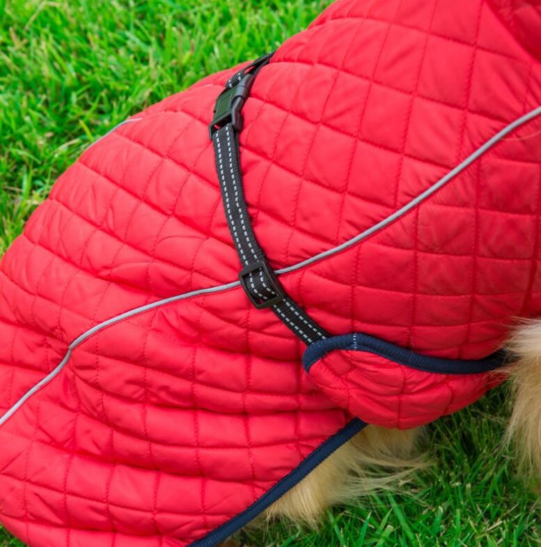 Outdoor Dog Jacket - Animal Ally Co