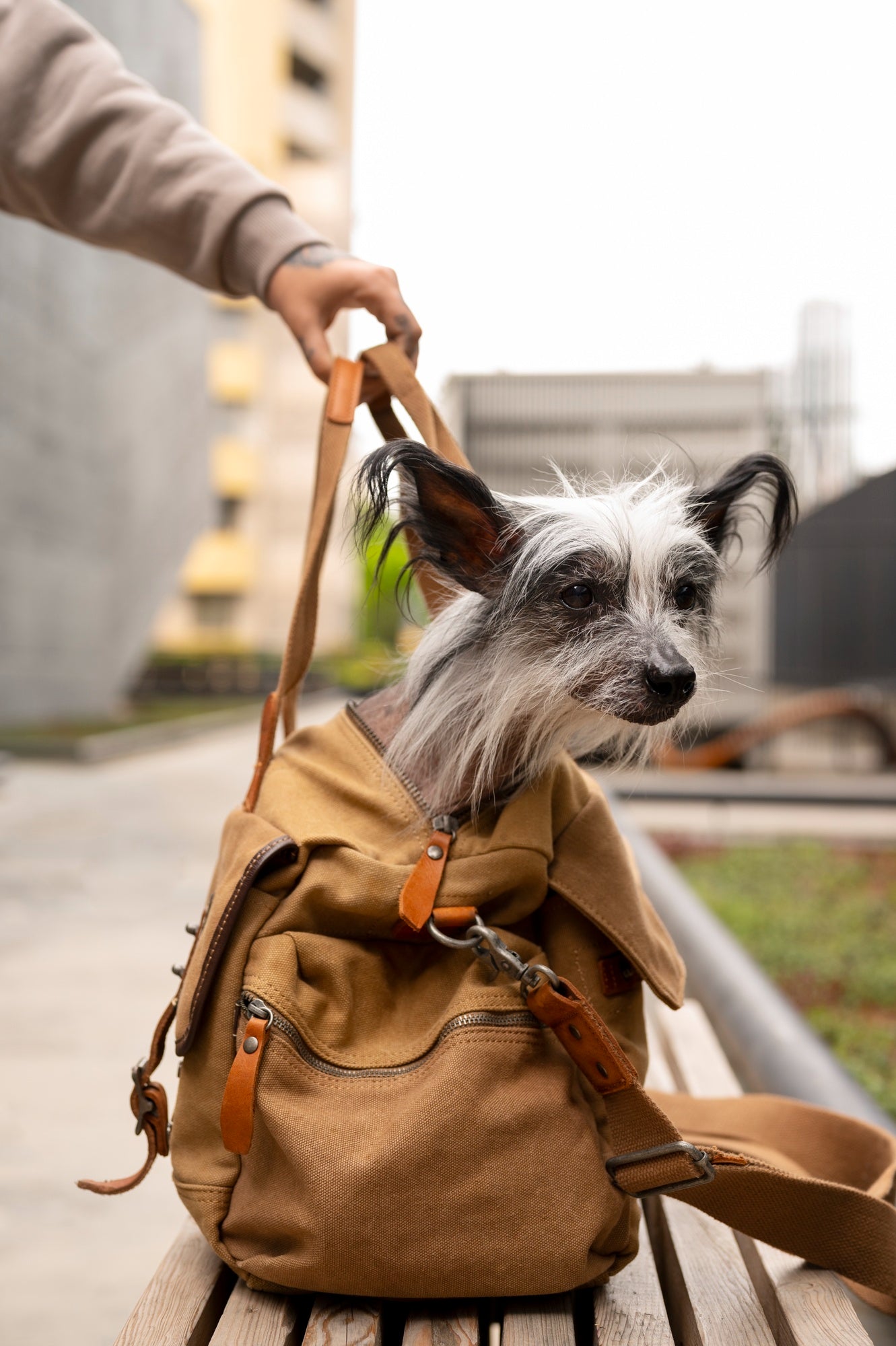 TRAVELING ACCESSORIES