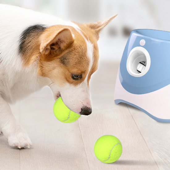 Modern Automatic Dog Ball Launcher - Animal Ally Co