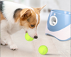 Modern Automatic Dog Ball Launcher - Animal Ally Co