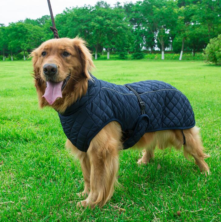 Outdoor Dog Jacket - Animal Ally Co