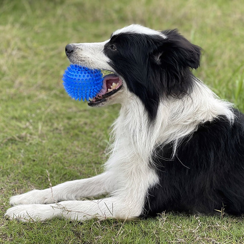 Blue Spike Ball Dog Toy - 9CM Sound Pet Teeth Grinding Toy for Medium Dogs - Animal Ally Co