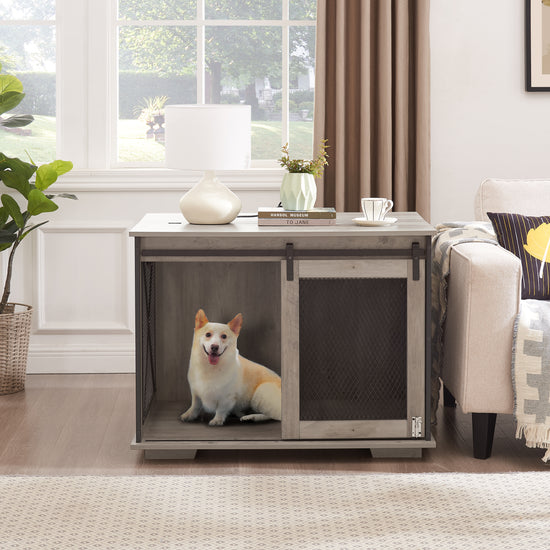 Dog House with Flip-top Plate - Animal Ally Co