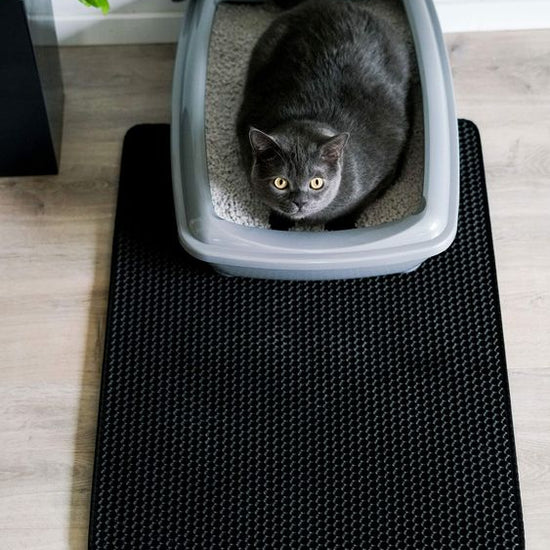 Waterproof Cat Litter Mat - Animal Ally Co