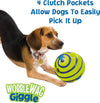 Interactive Glow Ball Dog Toy - Giggle Sounds, No Batteries Needed" - Animal Ally Co