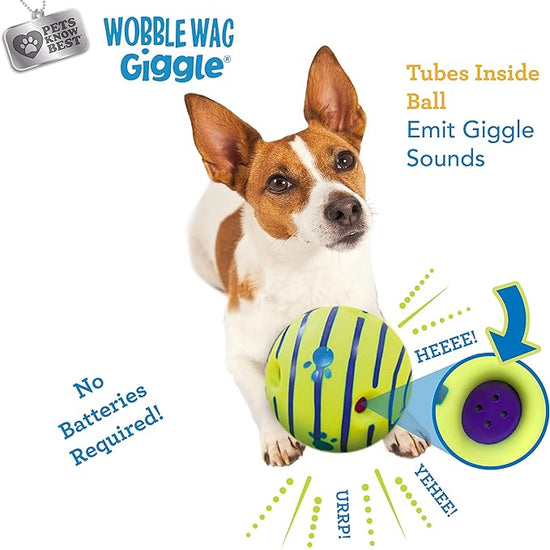 Interactive Glow Ball Dog Toy - Giggle Sounds, No Batteries Needed" - Animal Ally Co