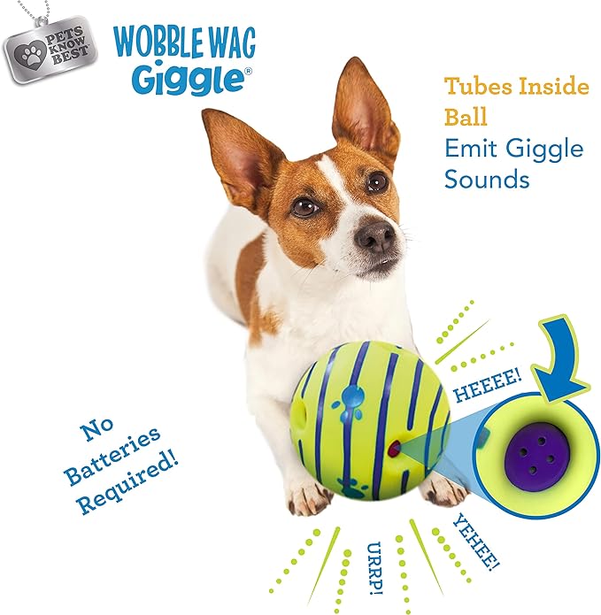 Interactive Glow Ball Dog Toy - Giggle Sounds, No Batteries Needed" - Animal Ally Co