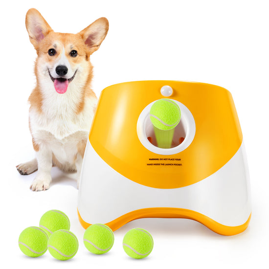 Modern Automatic Dog Ball Launcher - Animal Ally Co