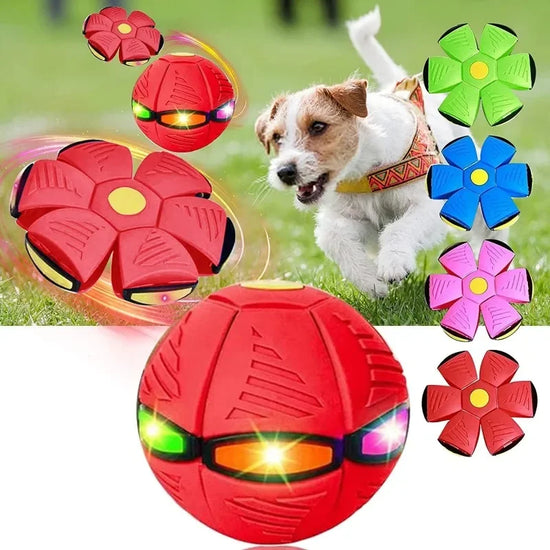 Light-Up UFO Dog Toy – Interactive Flying Saucer Ball for Fun and Exercise - Animal Ally Co