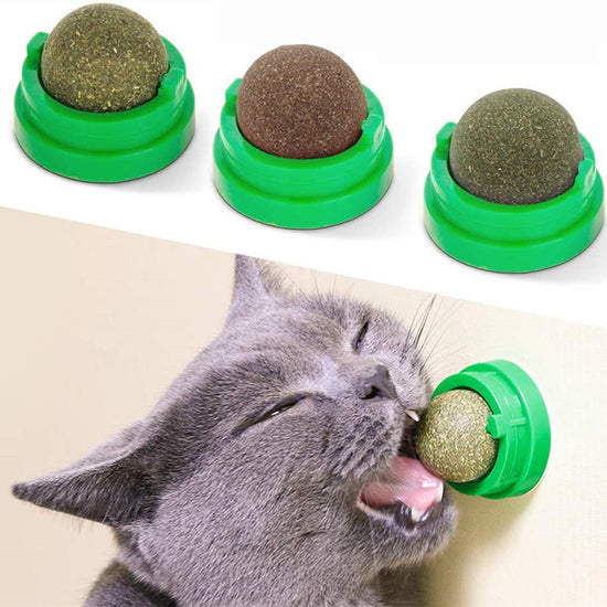 Interactive Cat Mint Toy - Animal Ally Co