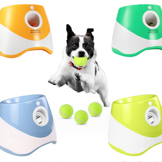 Modern Automatic Dog Ball Launcher - Animal Ally Co