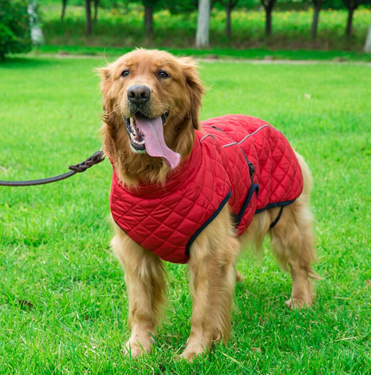 Outdoor Dog Jacket - Animal Ally Co