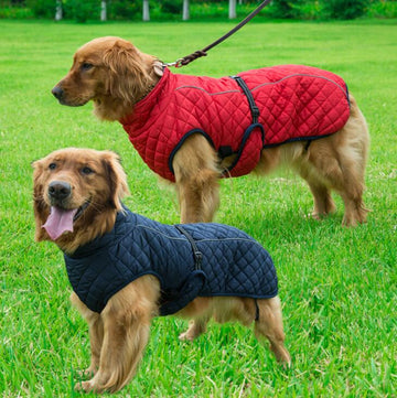 Outdoor Dog Jacket - Animal Ally Co