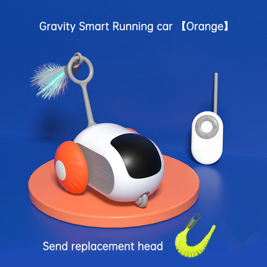 Smart cat car toy - Animal Ally Co