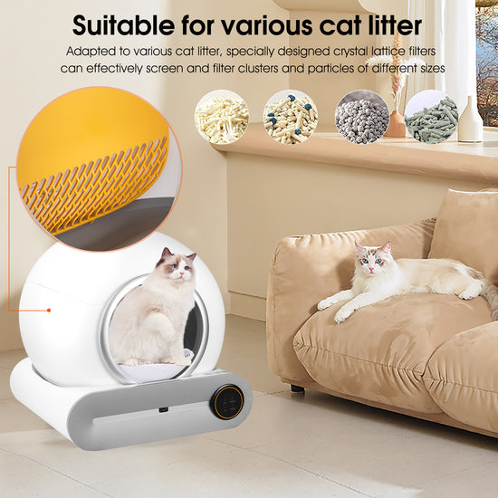 Self-cleaning litter box - Animal Ally Co