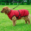 Outdoor Dog Jacket - Animal Ally Co