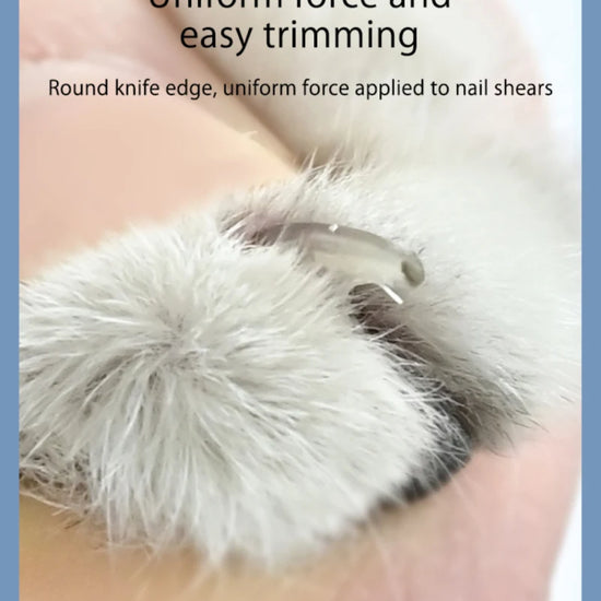 Pet Nail Clipper - Animal Ally Co