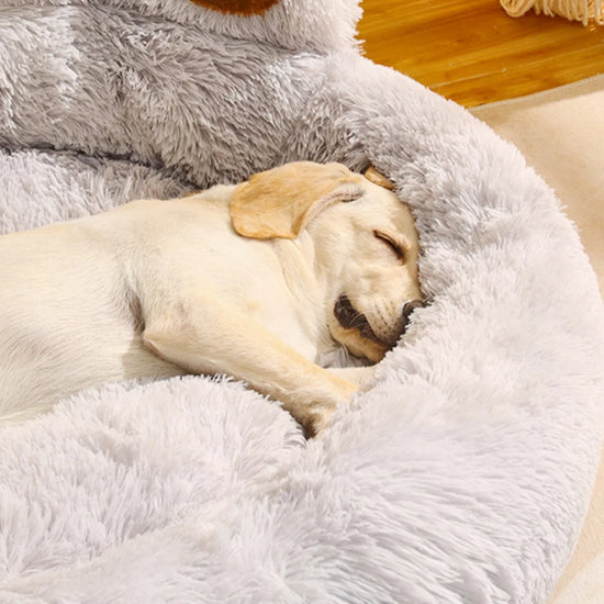 Fluffy Dog Bed - Animal Ally Co