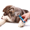 Dog hair remover - Animal Ally Co