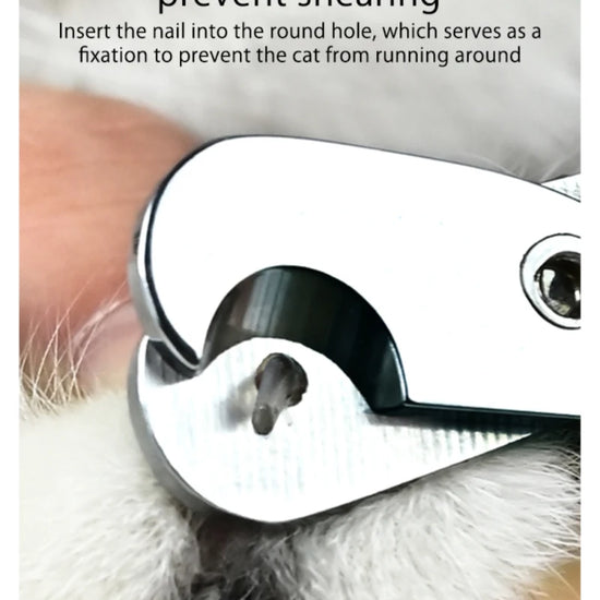 Pet Nail Clipper - Animal Ally Co