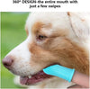 Pet Teeth Cleaning Tool