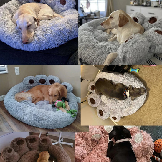 Fluffy Dog Bed - Animal Ally Co