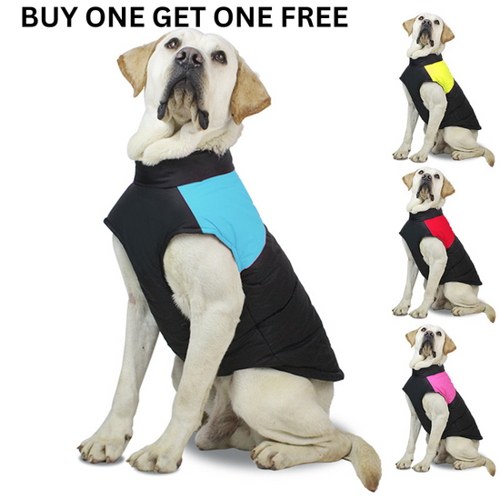 Pet Zippered Coat - Animal Ally Co